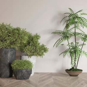 现代盆栽3D模型下载